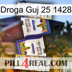 Guj Drug 25 1428 12